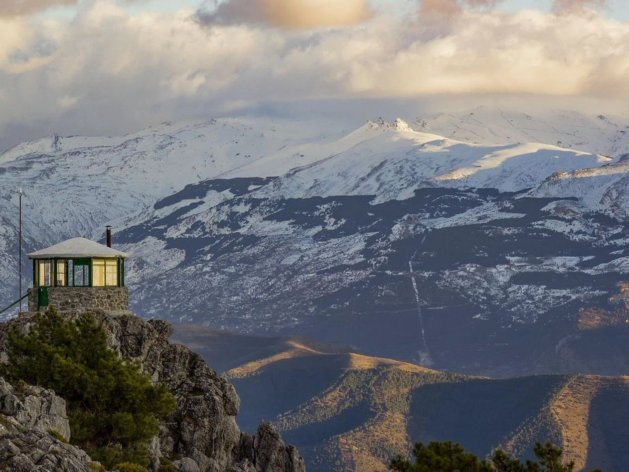 Peak Season Cabin Bookings
